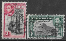 1938 CEYLON Set Of 2 USED STAMPS Perf.13½x13 (Michel # 230C,231C) CV €14.40 - Ceylon (...-1947)