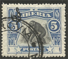 572 Liberia Chimpanzé Chimpanzee Official (LBA-142) - Chimpanzees