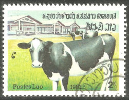 560 Laos Vache Cow Kuh Koe Mucca Vacca Vaca (LAO-189) - Cows