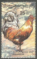 573 Libye Coq Rooster Hahn Haan Gallo Poulet Chicken Poule Hen MNH ** Neuf SC (LBY-52b) - Gallinaceans & Pheasants