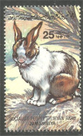 573 Libye Lapin Rabbit Kaninchen Konijn Coniglio Coelho Conejo MNH ** Neuf SC (LBY-49b) - Lapins