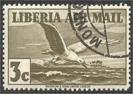 572 Liberia Mouette Gull Mowe Meeuw Gaivota Gabbiano Gaviota (LBA-259) - Mouettes