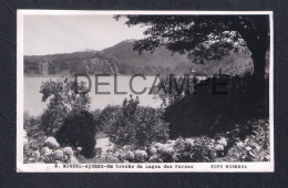 REAL PHOTO POSTCARD PORTUGAL AÇORES S. MIGUEL - UM TRECHO DA LAGOA DAS FURNAS - FOTO NOBREGA - 1950'S - Açores