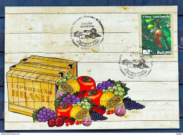 Brazil Maximum Card Fruit Circuit 2009 Figo - Cartes-maximum