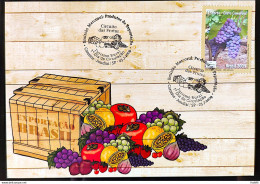 Brazil Maximum Card Fruit Circuit Uva 2009 CBC SP Postcard - Autres & Non Classés