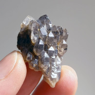 #T28 - Ungewöhnliche RAUCHQUARZ Kristalle (Victoria, Australien) - Mineralien