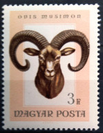 HONGRIE                       N° 1851                      NEUF** - Unused Stamps