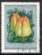 Hungary 1954 Single Stamp Celebrating National Agricultural Fair In Fine Used - Gebruikt