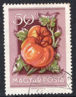 Hungary 1954 Single Stamp Celebrating National Agricultural Fair In Fine Used - Gebruikt