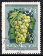 Hungary 1954 Single Stamp Celebrating National Agricultural Fair In Fine Used - Gebruikt