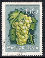 Hungary 1954 Single Stamp Celebrating National Agricultural Fair In Fine Used - Usado