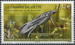 TAAF 2024. Crambus Viettellus (MNH OG) Stamp - Ungebraucht