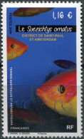 TAAF 2024. Suezichthys Ornatus (MNH OG) Stamp - Ongebruikt