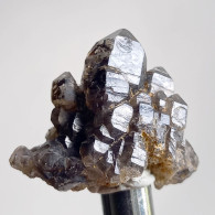 #T35 - Ungewöhnliche RAUCHQUARZ Kristalle (Victoria, Australien) - Mineralien