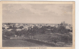 SPONGANO-LECCE-PANORAMA-CARTOLINA VIAGGIATA IL 17-12-1934 - Lecce