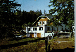 49149 - Niederösterreich - Gutenstein , Berggasthof , Gasthof Mamauwiese , Friedrich Wilsch - Nicht Gelaufen  - Gutenstein