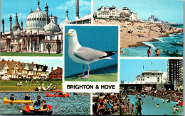 48975 - Großbritannien - Brighton , Hove , Mehrbildkarte - Gelaufen  - Brighton