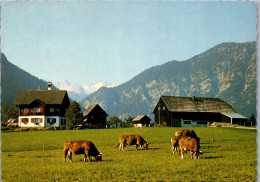 48950 - Steiermark - Bad Aussee , Haus Stangl , Familie Schönauer - Gelaufen  - Ausserland