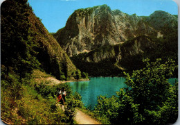 48938 - Steiermark - Altaussee , Altausseer See Mit Trisselwand , Panorama - Gelaufen 1982 - Ausserland