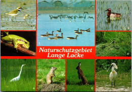 48902 - Burgenland - Seewinkel , Naturreservat Lange Lacke  - Gelaufen 1984 - Neusiedlerseeorte