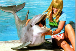 49395 - Tiere - Delfin , Mallorca - Nicht Gelaufen  - Delfines