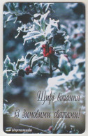 UKRAINE - Snowed Holly Branch, Ukrtelecom , 120 U, Tirage 118.500, Used - Oekraïne