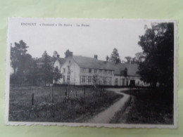 103-4-247            EINDHOUT    " Ossenstal "   De Hoeve  -  La Ferme - Laakdal