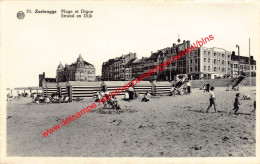 Strand En Dijk - Zeebrugge - Zeebrugge