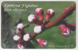 UKRAINE - Blooming Ukraine N. 2 - Apricot Flowers, Ukrtelecom , 9 Ukrainian Hryvnia, Tirage 200.000, Used - Ukraine