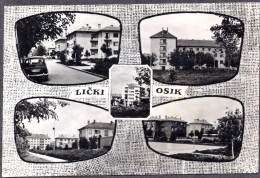 394 - Croatia  1966 - Licki Osik - Postcard - Croatie