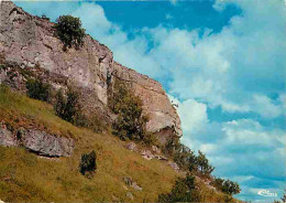 16 - Chateauneuf Sur Charente - La Font-qui-pisse - Carte Neuve - CPM - Voir Scans Recto-Verso - Chateauneuf Sur Charente