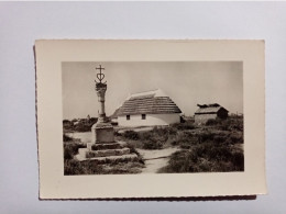 Carte Postale - Camargue - La Crois De Marins   (1eg) - Altri