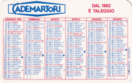 Calendarietto - Cademartori - Anno 1996 - Formato Piccolo : 1991-00