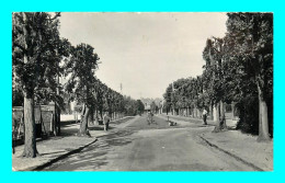 A928 / 571 95 - SAINT BRICE SOUS FORET Avenue Et Place Des Tilleuls - Saint-Brice-sous-Forêt