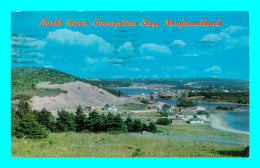 A910 / 457  North River Conception Bay Newfoundland - Autres & Non Classés