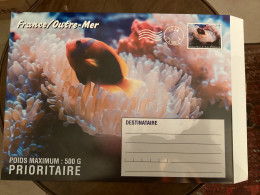 Pochette Entier Postal 500 Grammes - Calédonie - Poisson Et Anémone De Mer - 32,5 X 24,5 Cm - Entiers Postaux