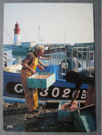 CP 29 Finistère LE GUILVINEC  -  Retour De Pêche Déchargement De La LANGOUSTINE Au Port Du GUILVINEC 1989 - Guilvinec