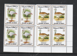 BIRDS  -  MOROCCO - 1988 - BIRDS SET OF 2 CORNER BLOCKS OF 2 MINT NEVER HINGED - Palomas, Tórtolas