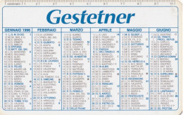 Calendarietto - Gestetner - Agenzia Massimo Nassi - Rovigo - Anno 1996 - Petit Format : 1991-00