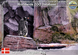 1094 Legoland Billund Penguin Bay, DK - Subantarctic Gentoo Penguin (Pygoscelis Papua Papua) - Dänemark