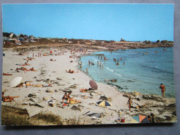 CP 29 Finistère  LESCONIL -  La Plage Familiale Timbré 1981 - Lesconil