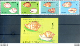 Conchiglie 1996. - São Tomé Und Príncipe