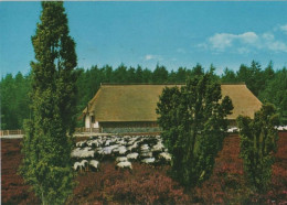 105021 - Lüneburger Heide - Schafstall - 1990 - Lüneburger Heide