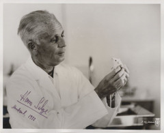 Hans Selye Historic Stress Scientist 10x8 Hand Signed 1970s Photo - Inventeurs & Scientifiques