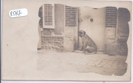 CARTE-PHOTO- CHIEN GARDAN LA MAISON DE SES MAITRES - A Identifier