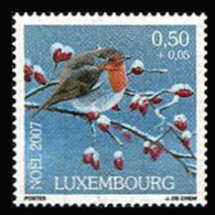 LUXEMBOURG 2007 - Scott# B455 Christmas Set Of 1 MNH - Unused Stamps