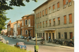 CARTOLINA DI LENDINARA - ROVIGO - 6 - Rovigo