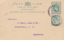 Cape Of Good Hope: 1910: Post Card To Frankfurt/Germany - Sonstige & Ohne Zuordnung