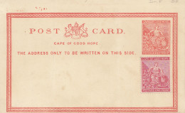 Cape Of Good Hope: Post Card Unused - Sonstige & Ohne Zuordnung