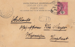 Ceylon: 1905: Post Card Colombo To Hollande - Sri Lanka (Ceylan) (1948-...)